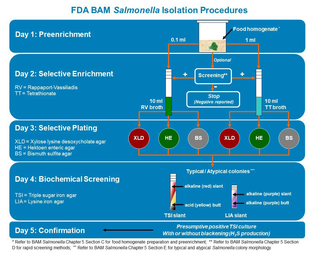 FDA BAM Salmonella Isolation Procedures