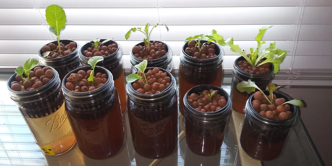 Kratky Method 3
