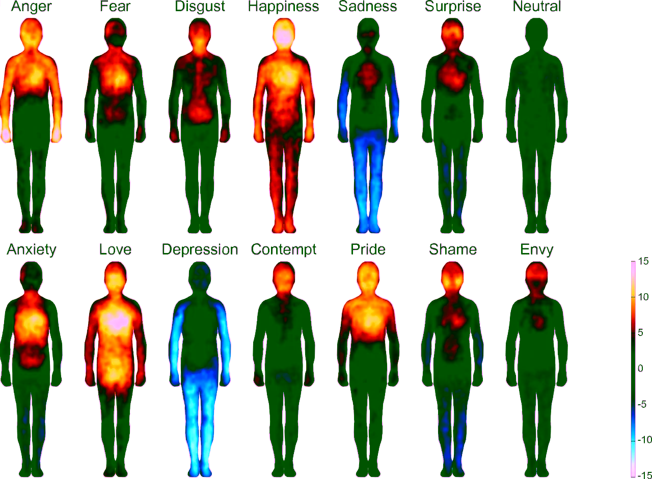 Bodily Maps of Emotions