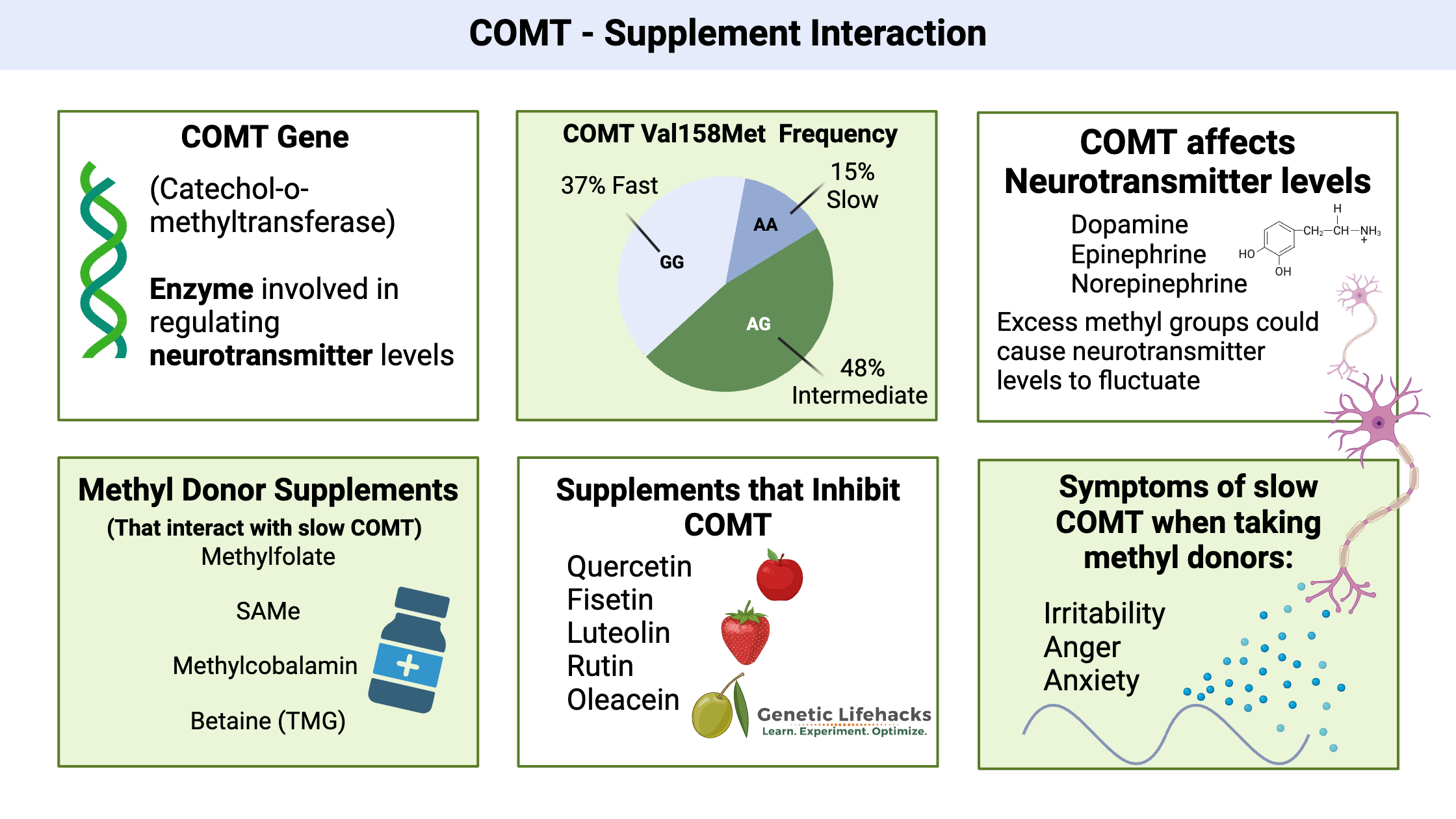 COMT Supplement Interactions
