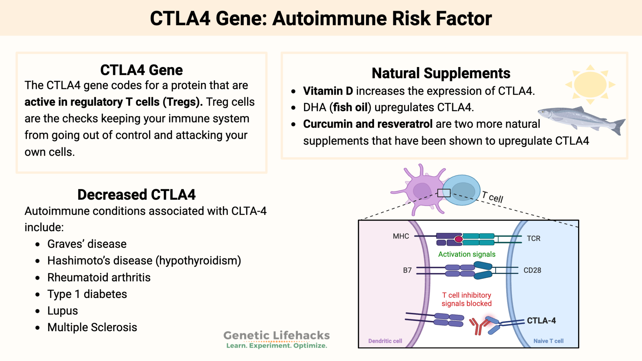 CTLA4