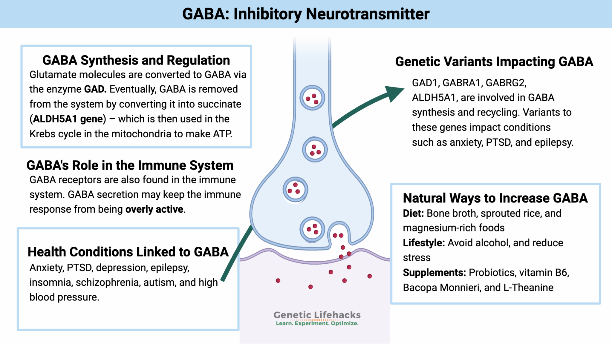 GABA