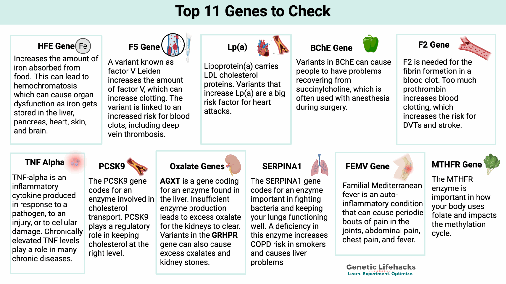 Top Genes