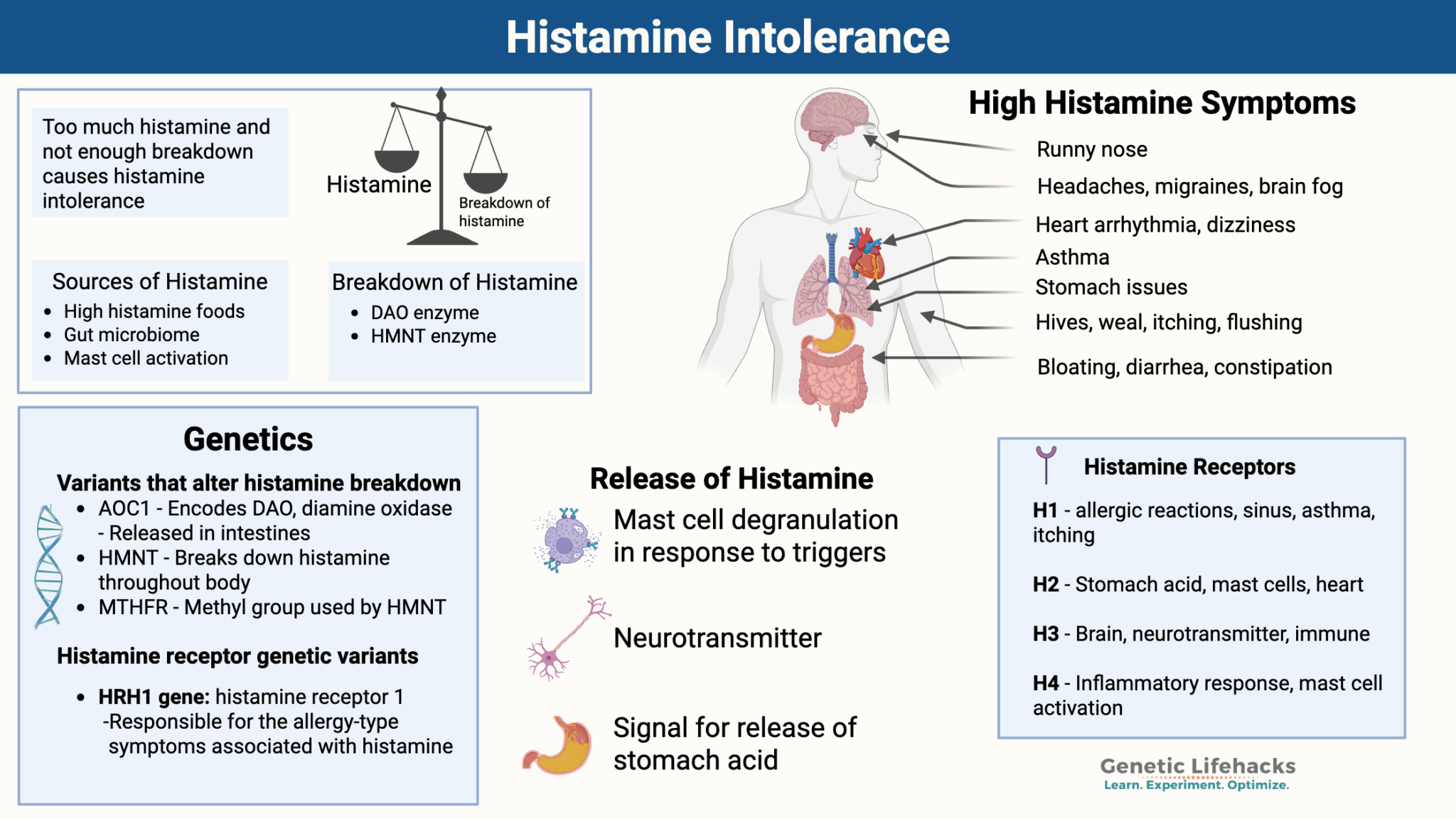 Histamine