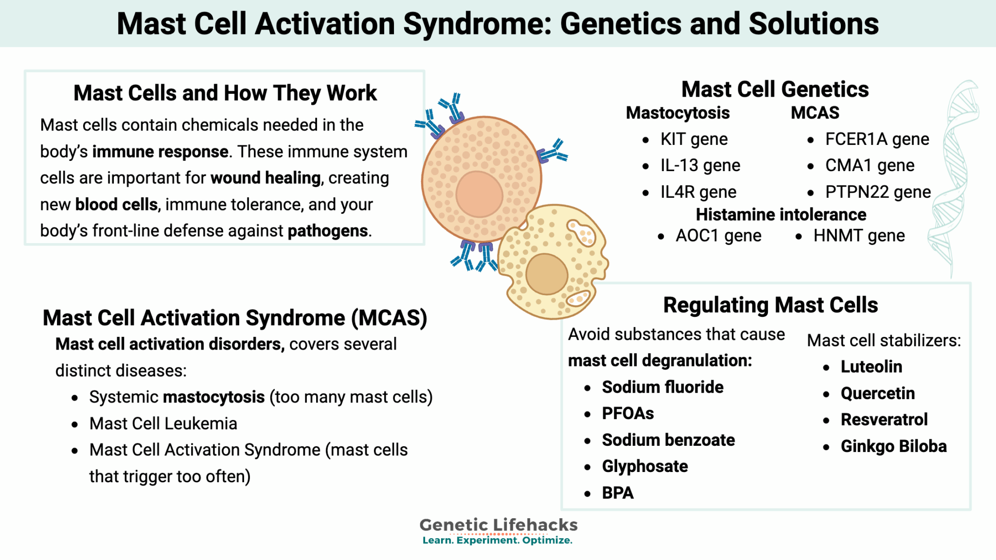 Mast Cells