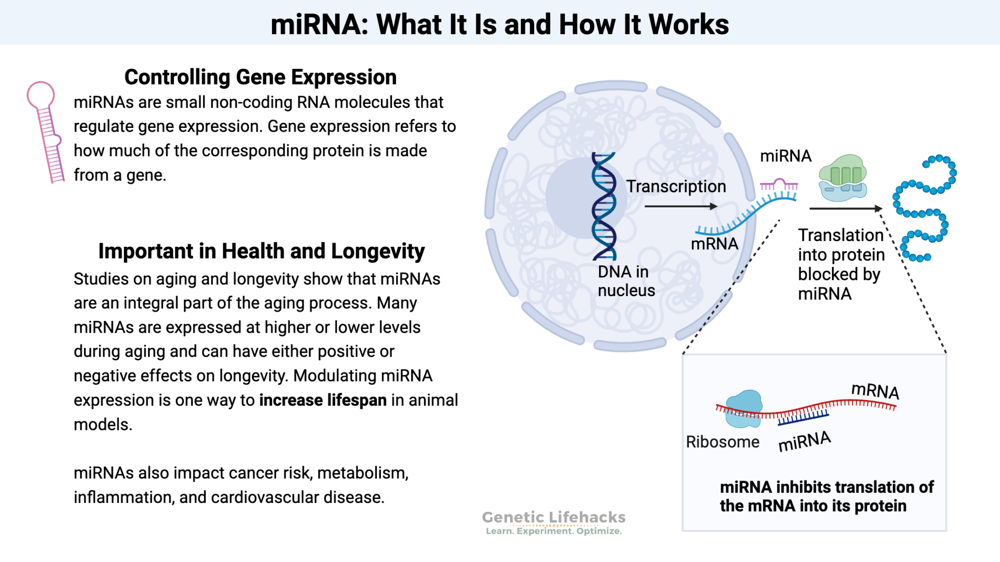 Micro RNA