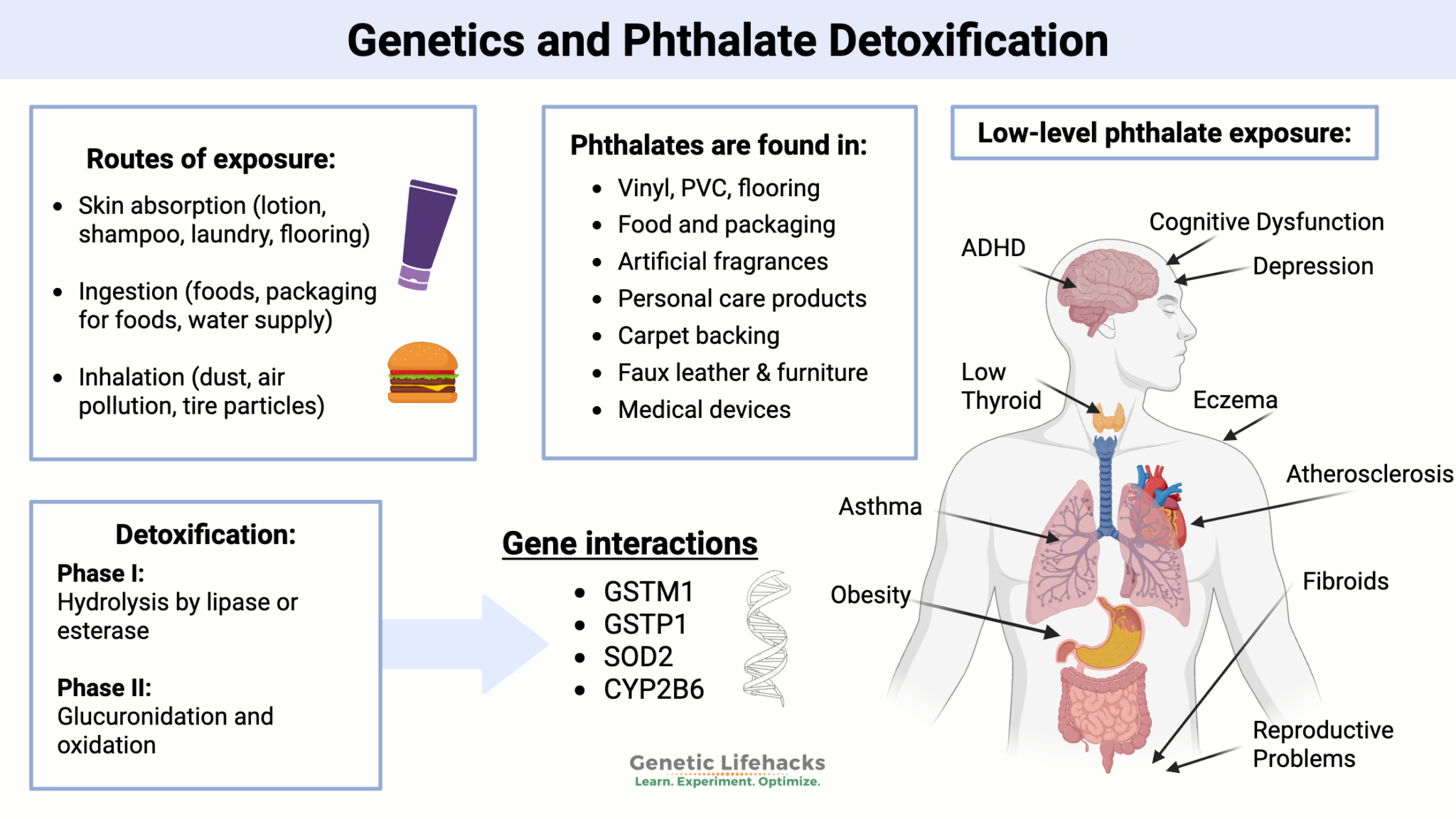 Phthalates