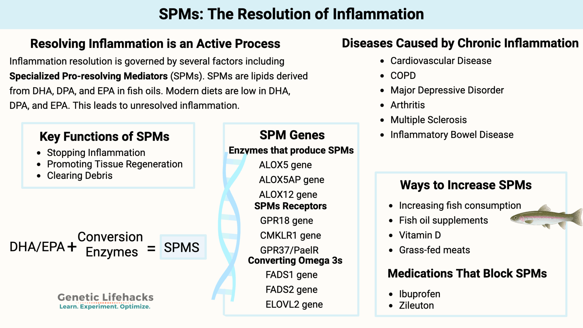 SPMs