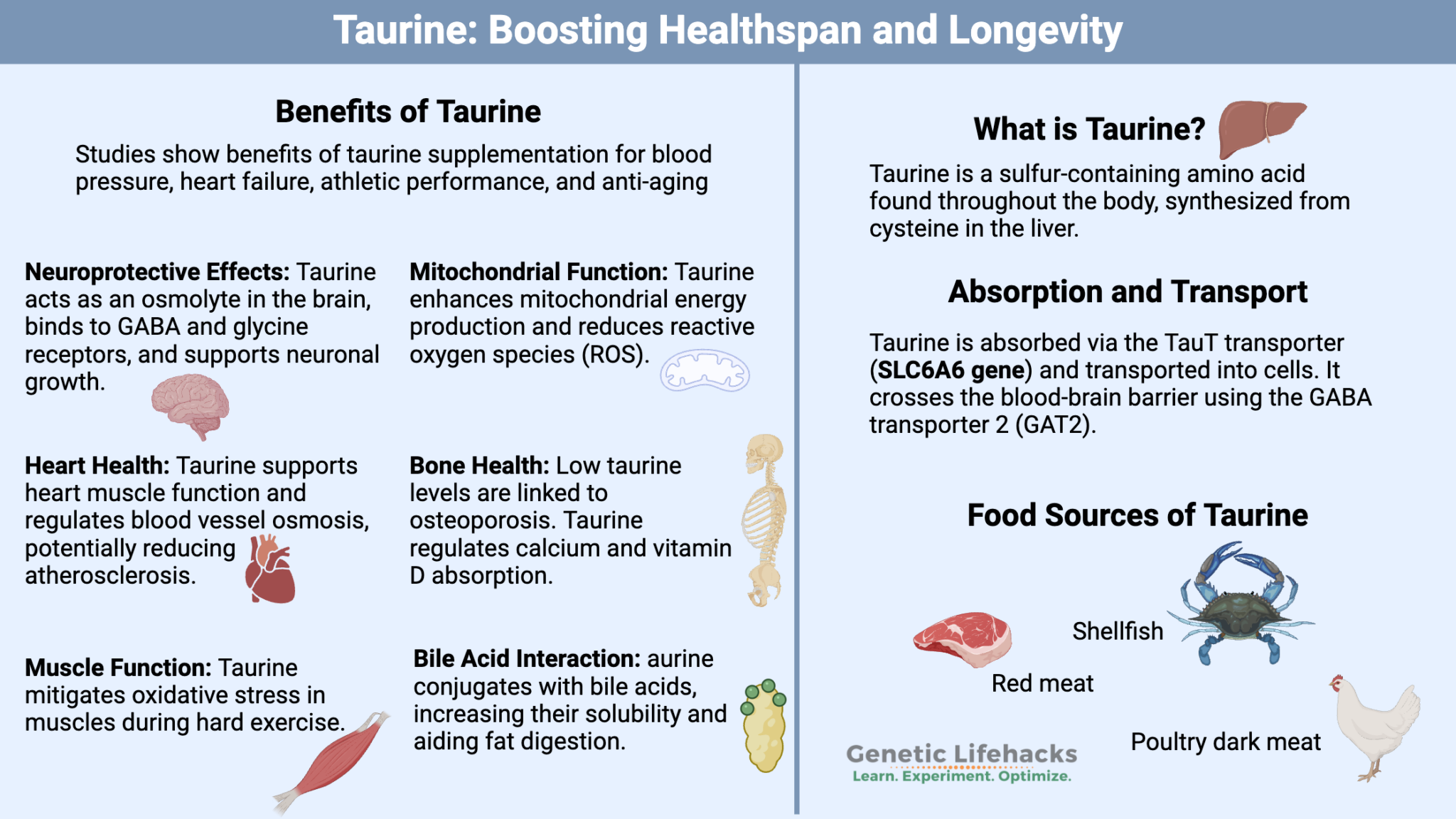 Taurine