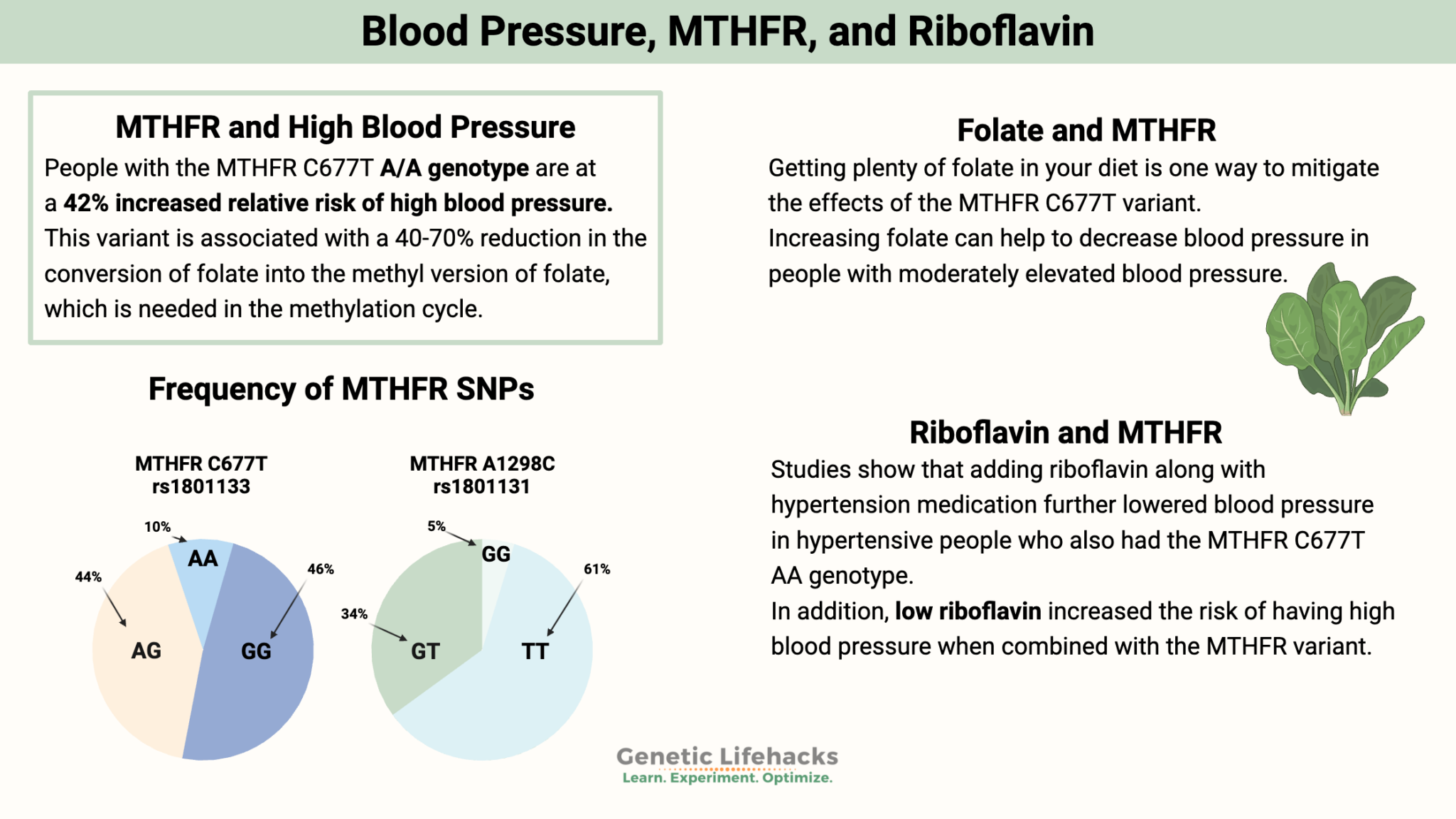 Blood Pressure