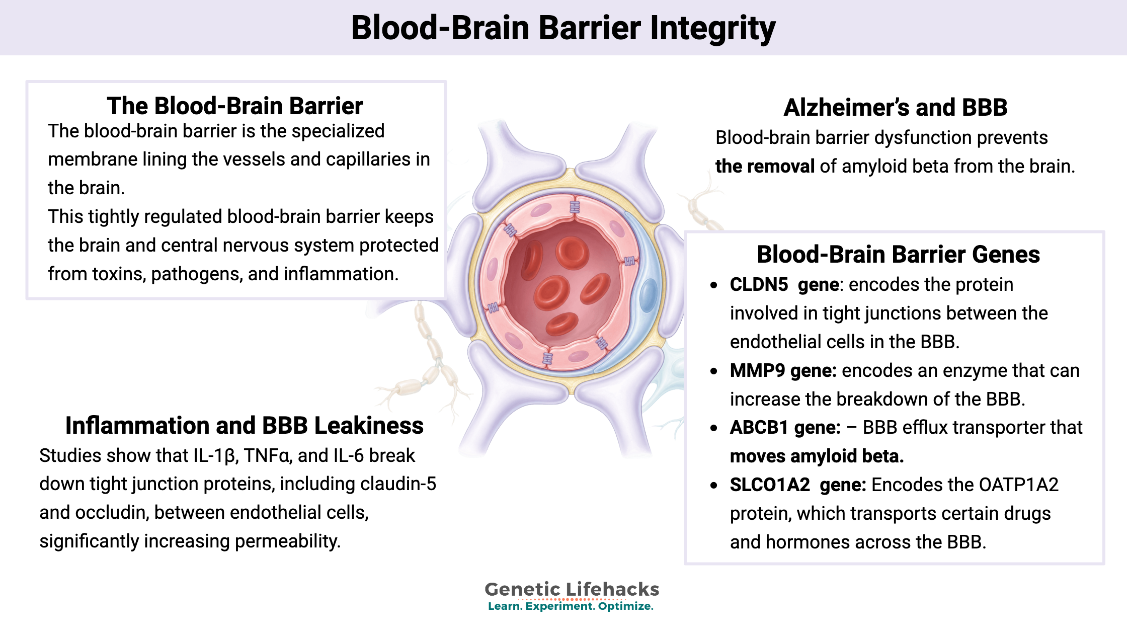 Blood-Brain Barrier