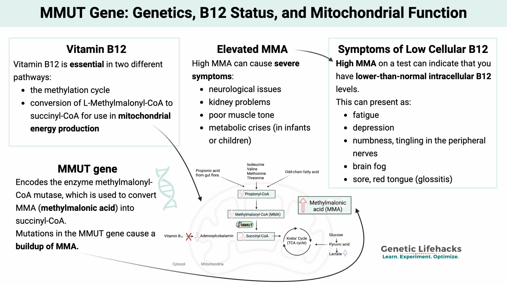 B12