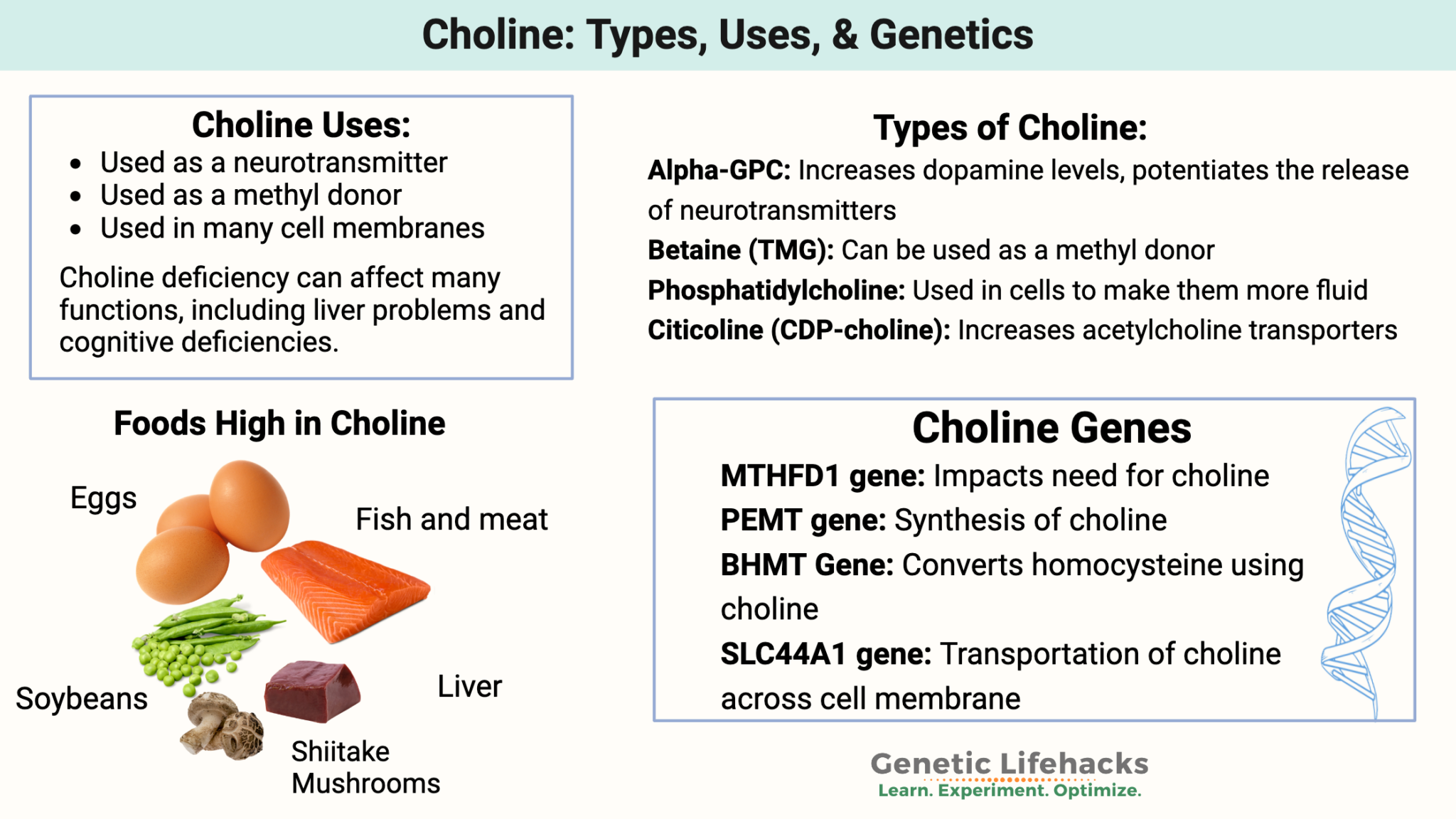 Choline