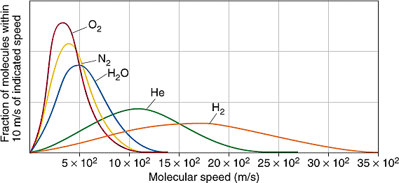 Kinetic Energy Distribution