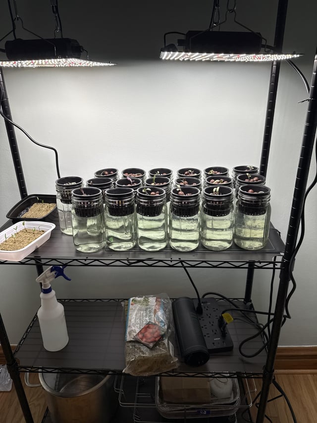 Kratky Method 1
