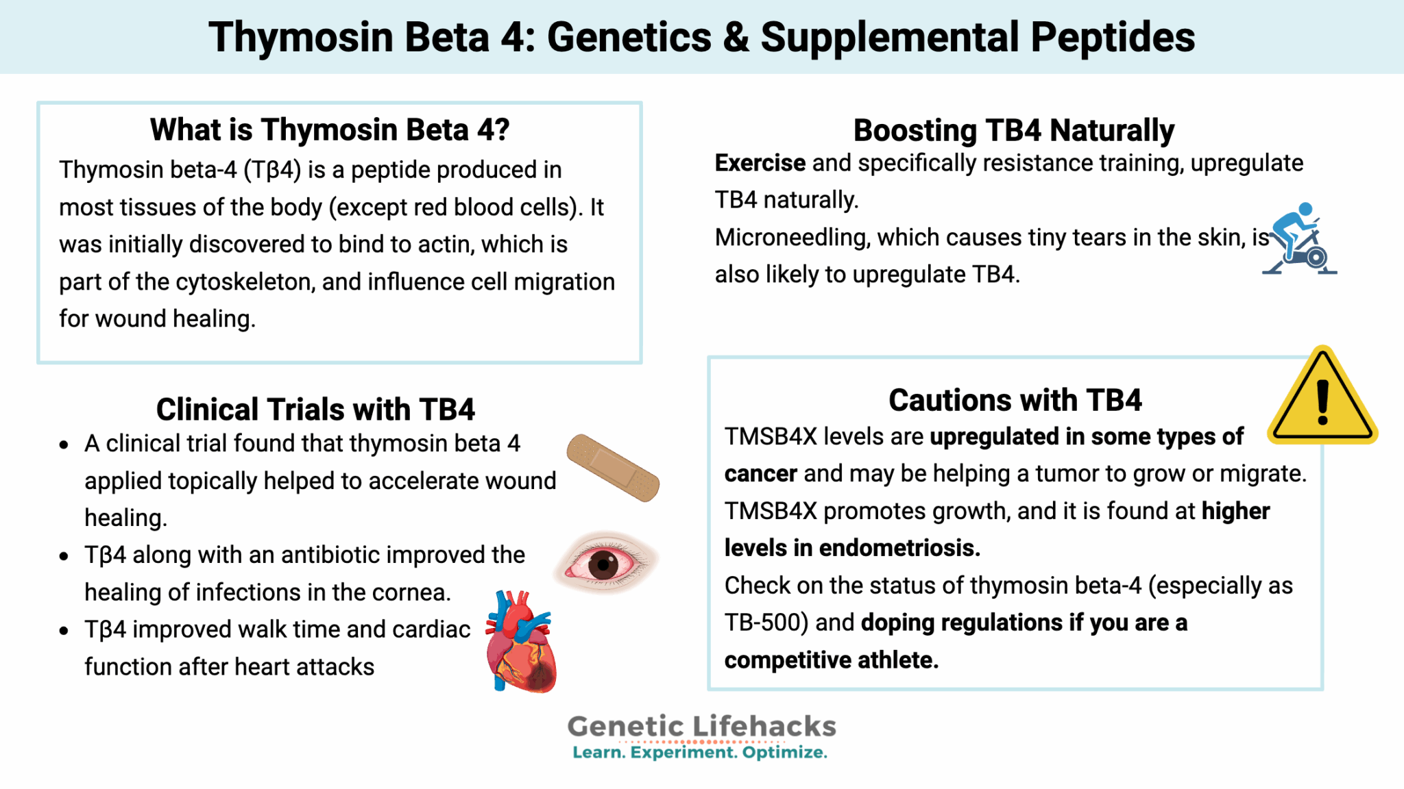 Thymosin Beta 4
